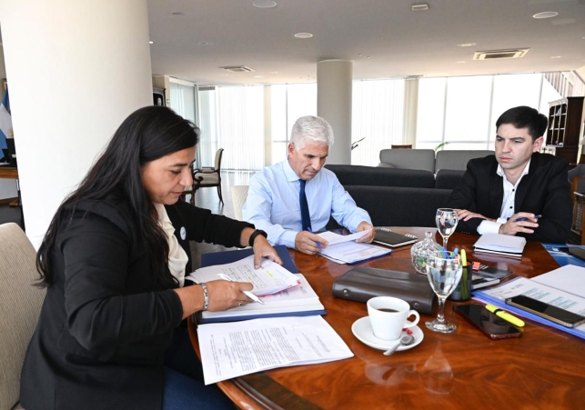 WhatsApp-Image-2026-02-12-at-17