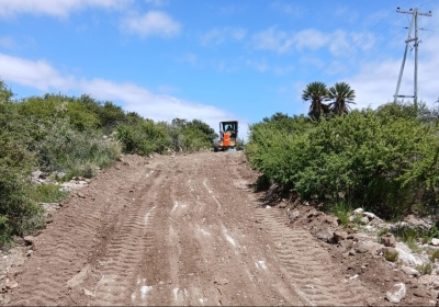 WhatsApp-Image-2026-02-11-at-20